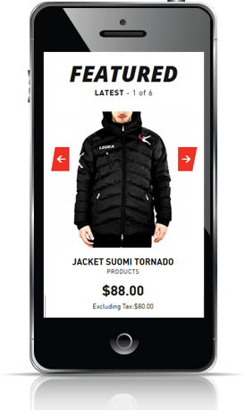 Online store development & designing