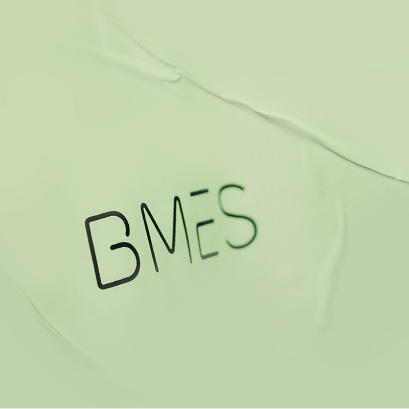 BMES